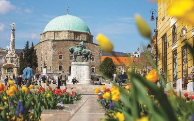 4. PPHF Nemzetközi Nyári Egyetem