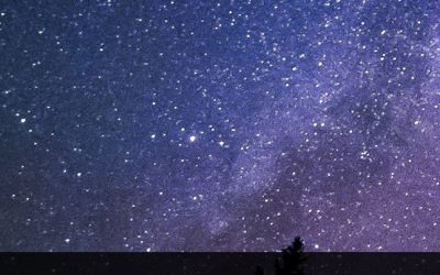 Kutatók éjszakája a PPHF-en