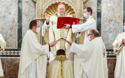 „Tápláló, éltető kenyérré kell válni!” – Felföldi László pécsi megyéspüspök szentelése és beiktatása
