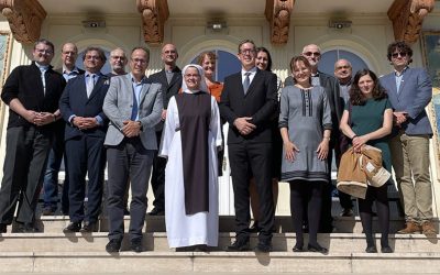 Hattyú a bagoly fészkében